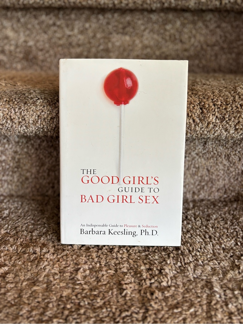 The Good Girl's Guide to Bad Girl Sex - White with Red Accent